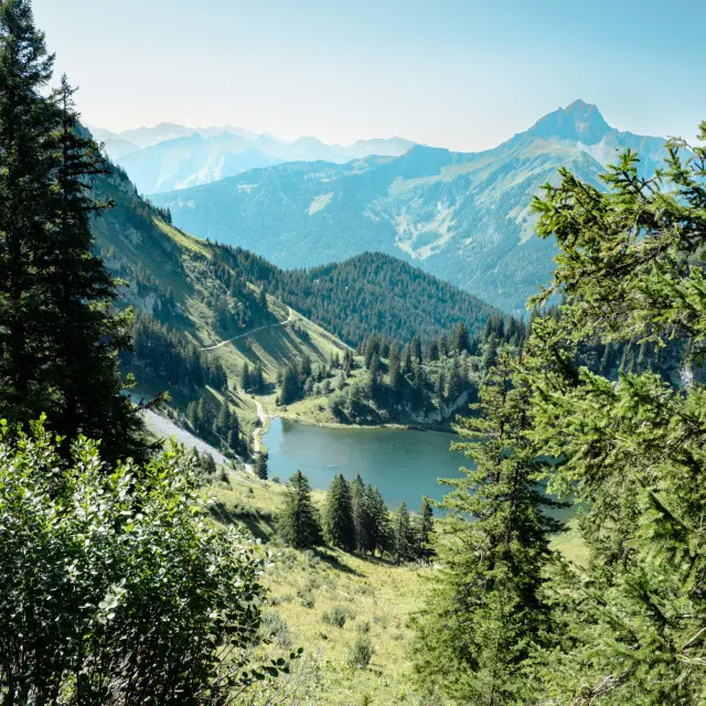 Lac D Arvouin Randonnee La Chapelle D Abondance 230824 Marie El Hajal 16