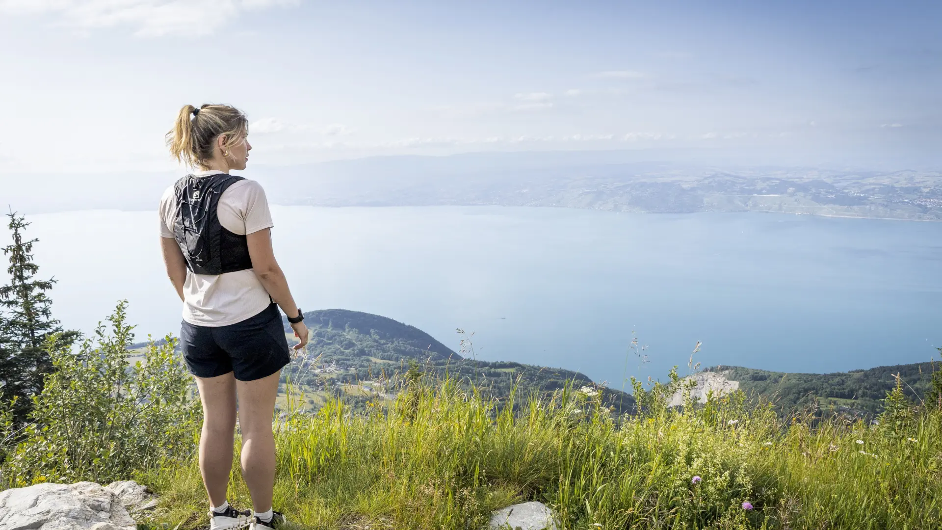 Pic des mémises - Thollon les Mémises