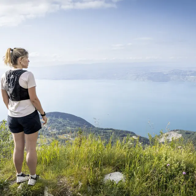Pic des mémises - Thollon les Mémises