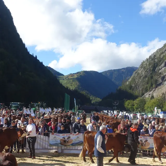 Foire Sirfa Abondance Automne 02 10 2022 Caroline Pierron 7